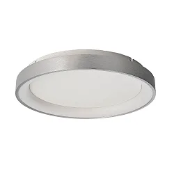 Wand- en plafondarmatuur MEROPE 40 IP20, zilver