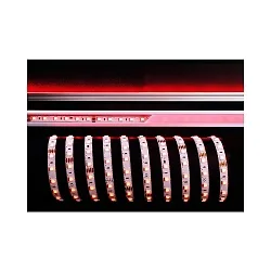 LED stripe 5050-60 SMD flexibel wit