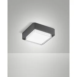 Plafondarmatuur voor buiten DIUK IP65, donkergrijs