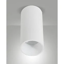 Downlight RAY cilindrisch, stijf, opbouwversie IP44, wit dimbaar