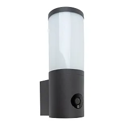 Wandarmatuur voor buitenshuis ORWELL met camera LED IP54, donkergrijs 