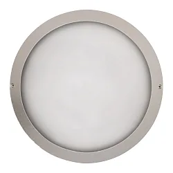 outdoor wall luminaire IP65, silver 
