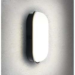 LED Wall / Ceiling luminaire TOLEDO Outdoor luminaire, 20W, 4000K, 1600lm, IP65, black