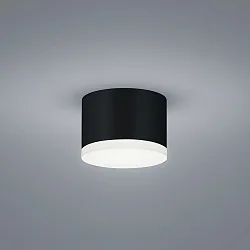 Plafondarmatuur PALA IP30, gesatineerd, zwart mat dimbaar