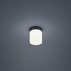 Plafondarmatuur KETO cilindrisch, schakelbaar, met diffuser IP44, zwart mat 
