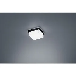 Plafondarmatuur COSI IP30, gesatineerd, zwart mat dimbaar