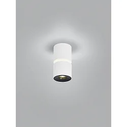Plafondarmatuur ROK 1-vlams, direct / indirect, focusseerbaar IP20, wit mat dimbaar