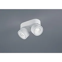 ceiling luminaire NAKA 30W 2 flames, adjustable IP20, white matt dimmable