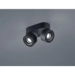ceiling luminaire NAKA 30W 2 flames, adjustable IP20, black matt dimmable