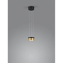 Pendelarmatuur ODA IP20, goud, zwart dimbaar