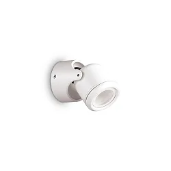Wandarmatuur voor buitenshuis XENO AP1 1-vlams, draaibaar GU10 IP44, transparant, wit mat