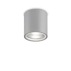 Outdoor Downlight GUN, IP44, Ø 11cm, GU10, aluminium, grey