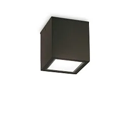 Plafondarmatuur voor buiten TECHO PL1 D15 SQUARE vierkant GU10 IP54, zwart