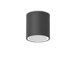 outdoor ceiling luminaire TECHO PL1 D09 ROUND down, round, rigid, with lamp socket GU10 IP54, black
