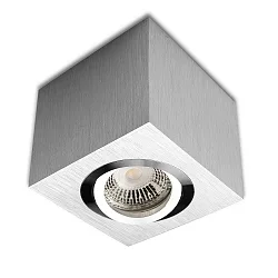 Plafondarmatuur draaibaar IP20, aluminium geborsteld dimbaar