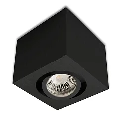 Plafondarmatuur draaibaar IP20, zwart dimbaar