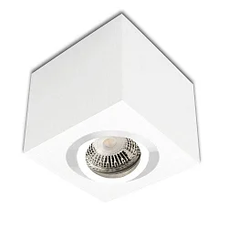 Plafondarmatuur draaibaar IP20, wit dimbaar