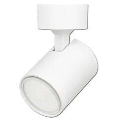 Wand- en plafondarmatuur draaibaar GU10 IP20, wit mat dimbaar
