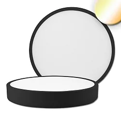 Plafondarmatuur PRO 300MM rond, CCT Switch IP20, zwart dimbaar