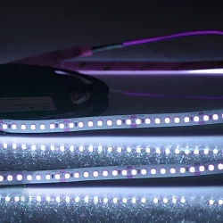 LED stripe CRI FOOD FLEX FISH 2-polig wit