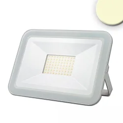 Strijklicht PAD 50W groot, draaibaar, schakelbaar IP65, wit 
