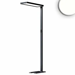 Staande lamp OFFICE PRO UGR < 19 IP40, zwart dimbaar