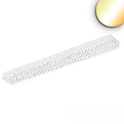 Lichtlijn 120X20CM COLORSWITCH UGR < 19, met lensoptiek IP40, wit dimbaar