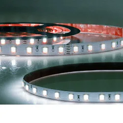 LED Stripe SIL RGB+WW+KW CCT - 5IN1 CCT Switch, RGBW zilver