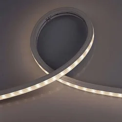 Volledig gesiliconiseerde LED StripE TM1934 WALLWASHER SPI FLEXBAND 6LED/IC wit
