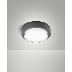 outdoor ceiling luminaire OWEN IP65, dark grey
