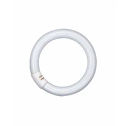 fluorescent lamp L, circular 26mm tube, G10q, 840 C neutral white, 32W