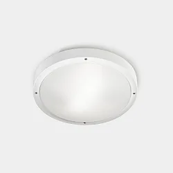 Wand- en plafondarmatuur BASIC LED IP66