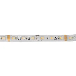 LED stripe 5050 RGB+WW/CW SMD - 5M / 12MM RGBW wit