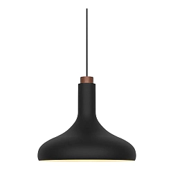 Pendelarmatuur FUJI E27 IP20, zwart dimbaar