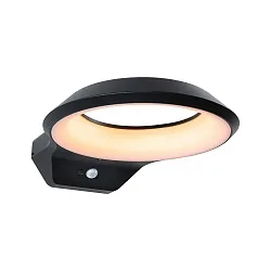 Wandarmatuur voor buitenshuis ANELA PIR met sensor, insectenvriendelijk, zeeluchtbestendig IP44, antraciet 