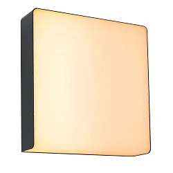 Wandarmatuur voor buitenshuis AZALENA met sensor, ZigBee aanstuurbaar, insectenvriendelijk IP44, antraciet, transparant dimbaar