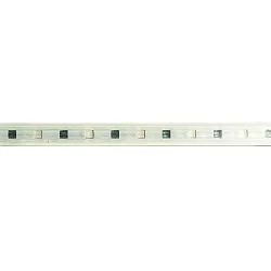 Volledig gesiliconiseerde ledstrip VARDAFLEX OUTDOOR RGB INTELLIGENCE THIRTY - DMX - 2M RGB, DMX bestuurbaar transparant