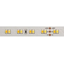 LED Strip TW
