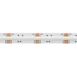 LED Strip COB