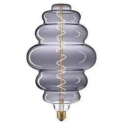 Decoratie lichtbron filament GIANT NEST dimbaar E27 6W 170lm 2200K 360° CRI 90 dimbaar