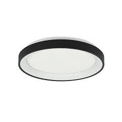 Plafondarmatuur RINGLEDE IP20, zwart dimbaar