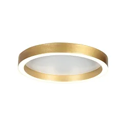 Plafondarmatuur RINGLUX IP20, dimbaar