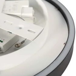 Plafondarmatuur RINGLUX 2-vlams IP20, zwart dimbaar