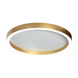 Plafondarmatuur RINGLUX IP20, dimbaar