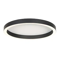 Plafondarmatuur RINGLUX IP20, dimbaar