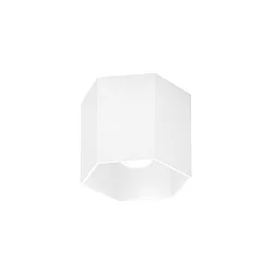 Ceiling luminaire HEXO 1.0 PAR16, GU10 max. 12W, white