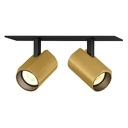 Downlight CENO 2.0 2-vlams, draaibaar, roteerbaar IP20, goud, zwart dimbaar