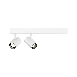 Opbouw armatuur CENO 2.0 2-vlams, draaibaar, roteerbaar IP20, wit dimbaar