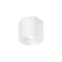 Plafondarmatuur HEXO CEILING SURF 1.0 1-vlams IP20, wit mat dimbaar