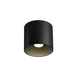 Plafondarmatuur RAY CEILING SURF 1.0 1-vlams, Dim-To-Warm IP20, zwart mat dimbaar